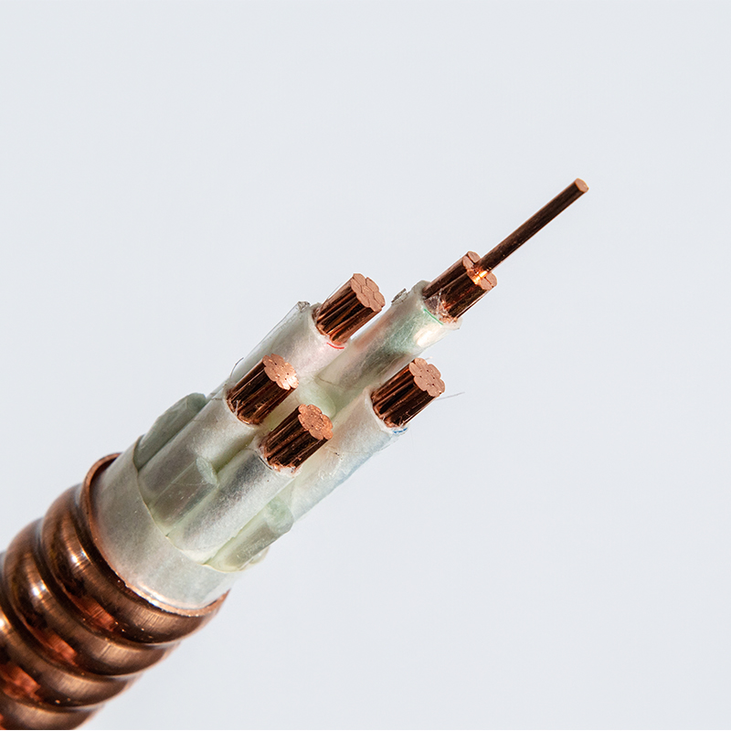 YTTW гибкий огнестойкий кабель, гибкий огнестойкий кабель с металлической оболочкой, неорганическая минеральная изоляция (6)